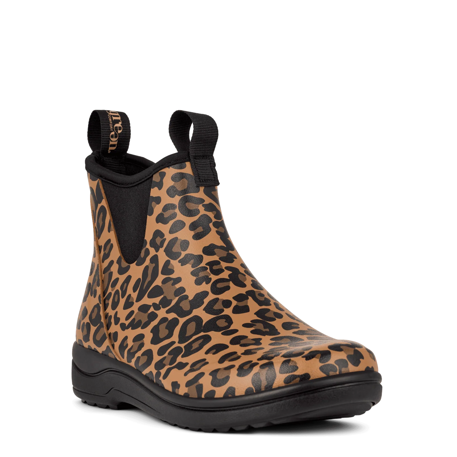 RAIN RAFAELL - LEOPARD - Image 3