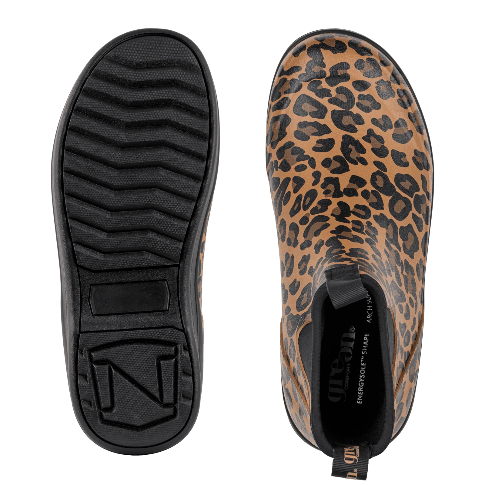 RAIN RAFAELL - LEOPARD - Image 4